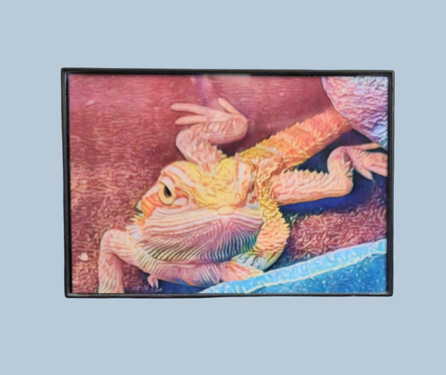 Chillin' Lizard 6.25 in.x4.25 in. (with frame)
