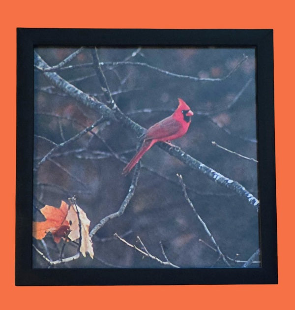 Crimson Perch 9 in.x9 in. (with frame)