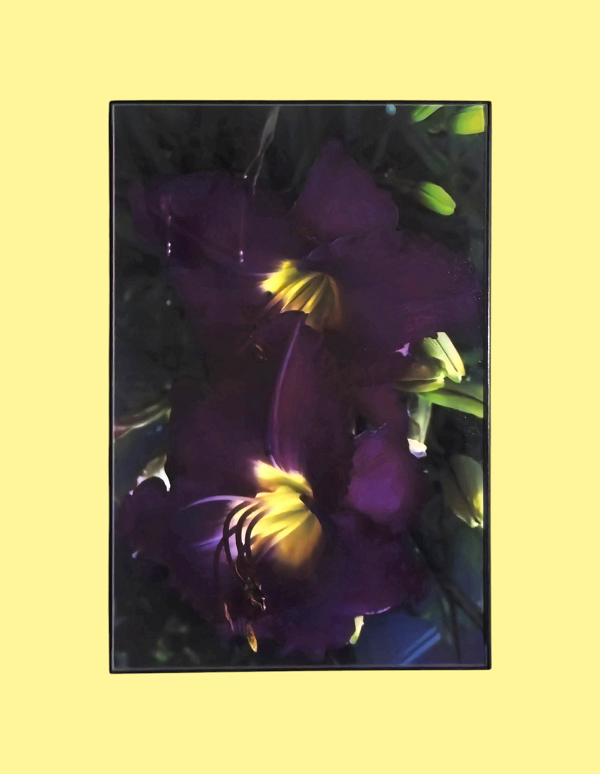 Deep Purple 8 in.x12 in. (with frame)