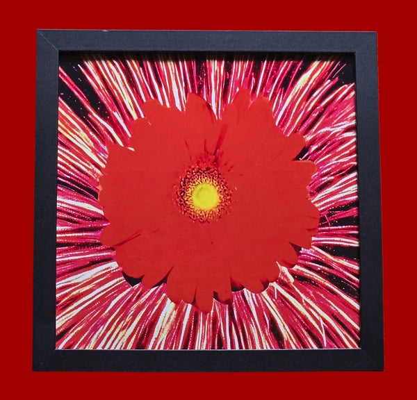 Flower Power 2    9 in.x9 in. (with frame)