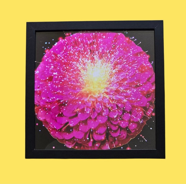 Flower Power 3   9 in.x9 in. (with frame)