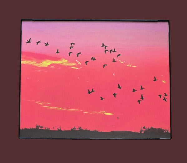 Flying at Sunset 8 in.x10 in. (with frame)