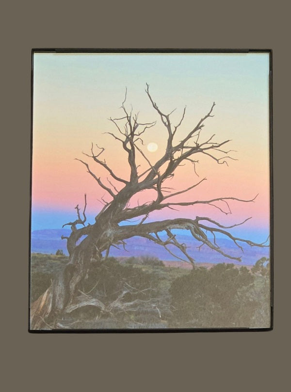 Moab Moon Close-up 8.25 in.x10.25 in. (with frame)