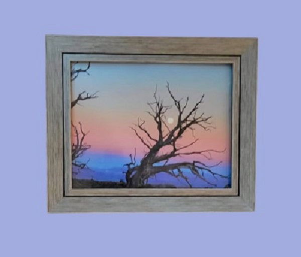 Moab Moon 14.5 in.x17.5 in. (with frame)