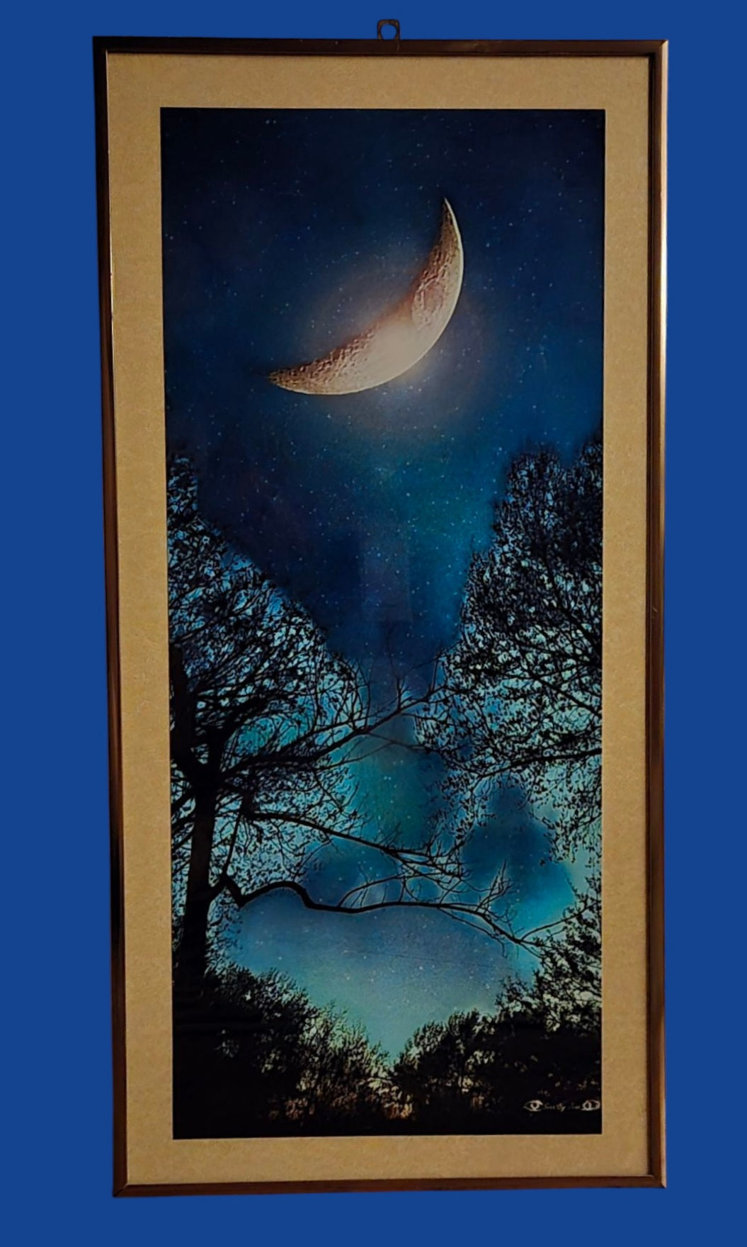 Moon's Night 10 in.x22 in. (with frame)