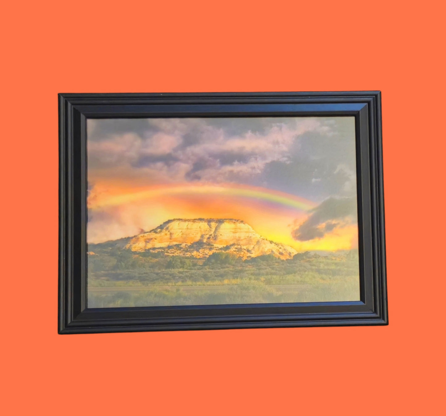 Quandary 15 in.x12 in. (with frame)