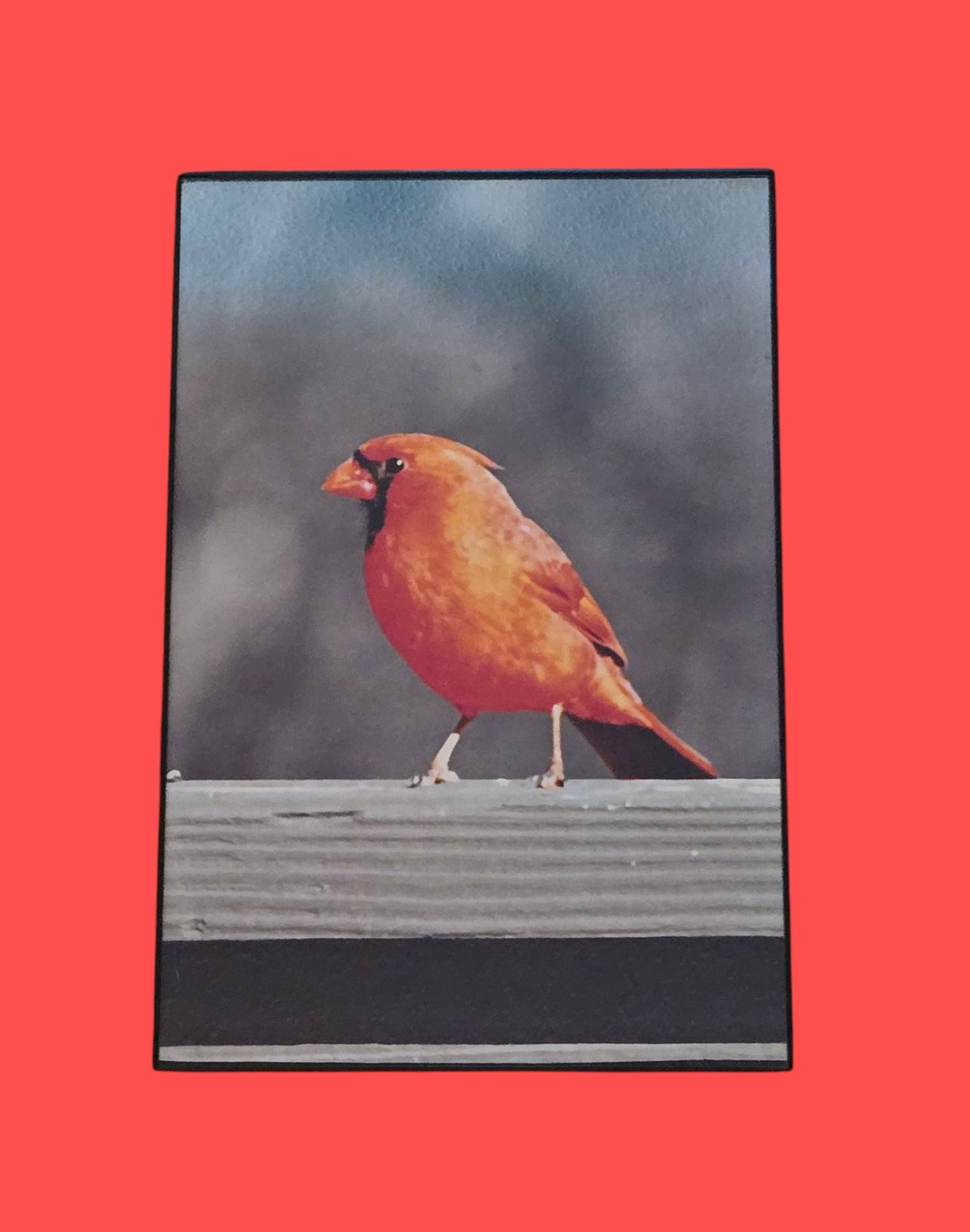 Flame Feathered 8.25 in.x12.25 in. (with frame)