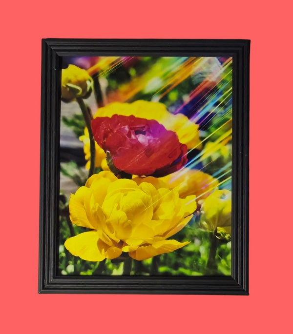 Smear 9 in.x11 in. (with frame)