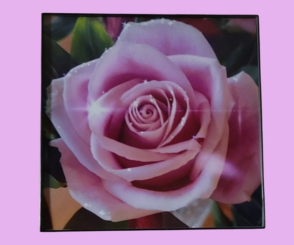 Sparkling Rose 8.25x8.25 in. (with frame)