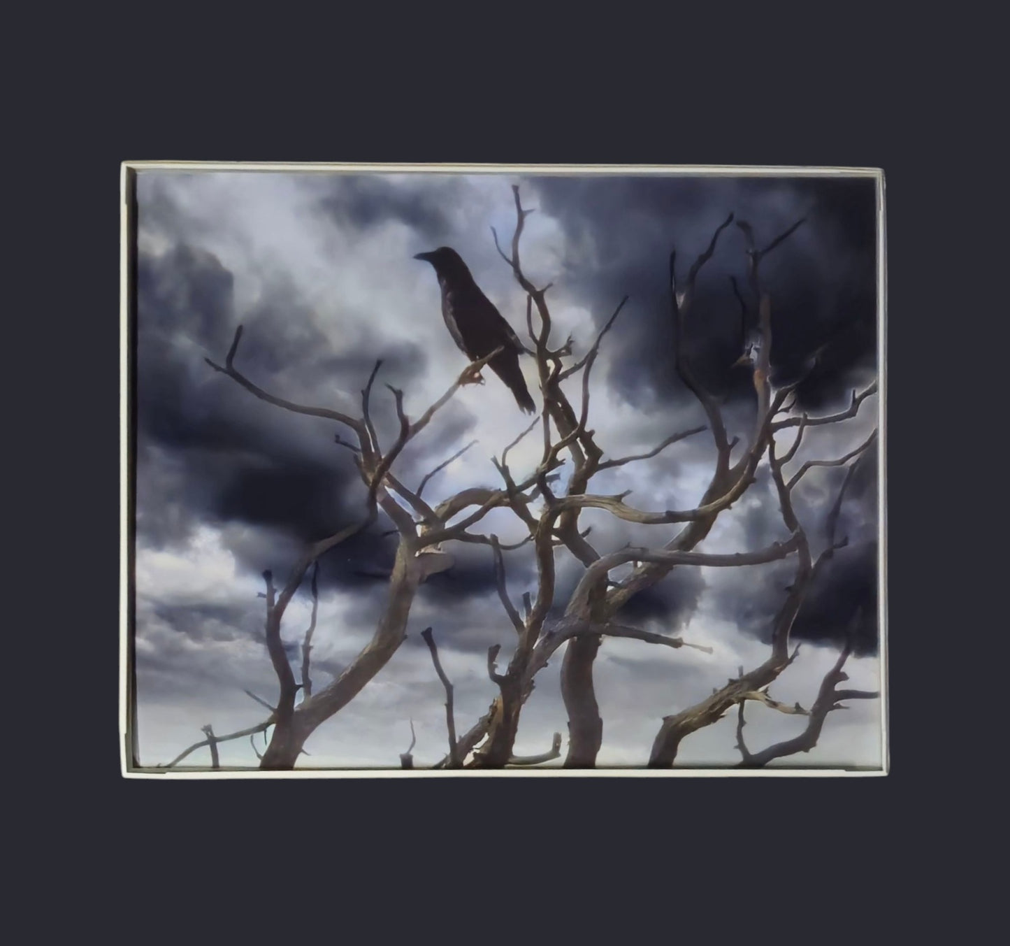 The Thin Place 8.25 in.x10.25 in. (with frame)