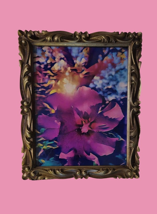 Vibrant Morning Phainting 10 in.x12 in. (with frame)