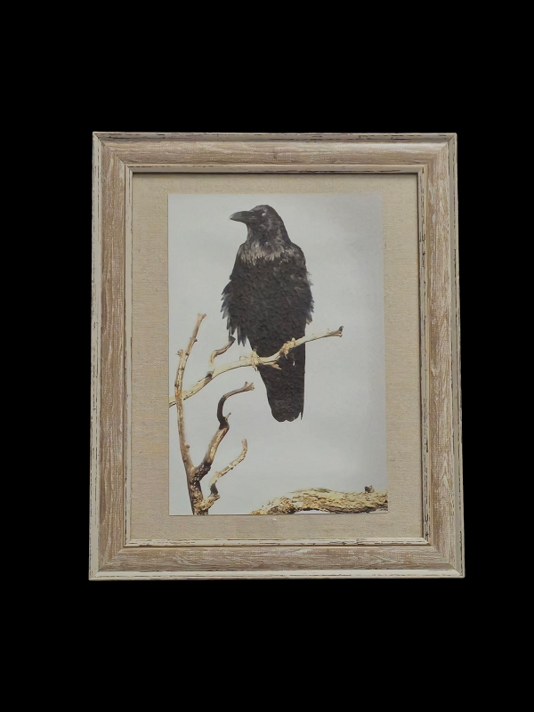 Waiting 13.5 in.x16.5 in. (with frame)