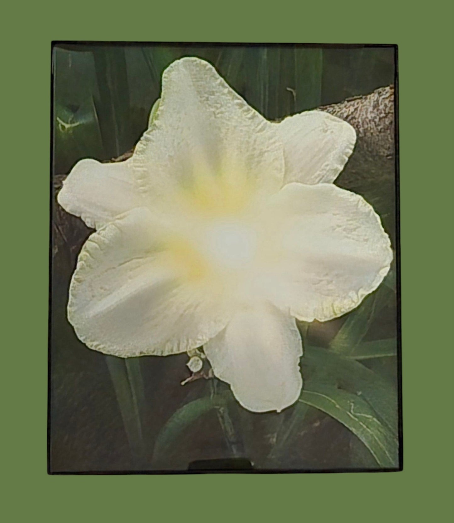 White Light 8 in.x10 in. (with frame)