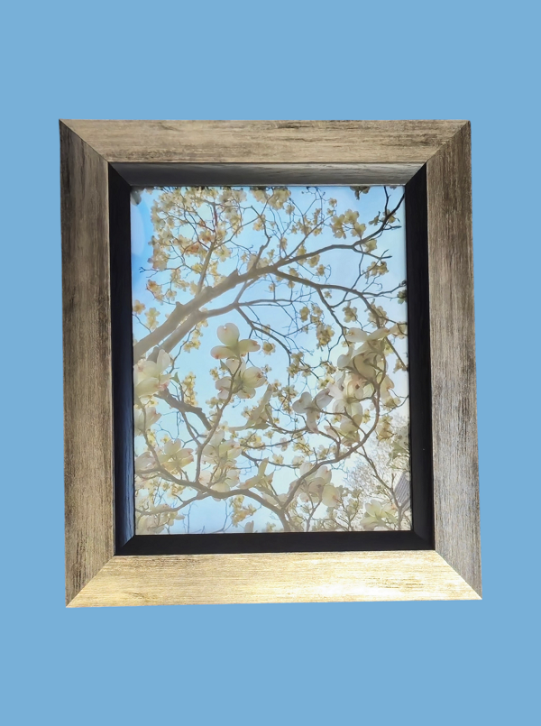 Blue Sky and Dogwood 13.75 in.x11.75 in. (with frame)