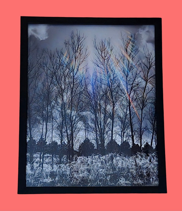 Winter Layers - Sun Rays 11.25 in.x14.25 in. (with frame)