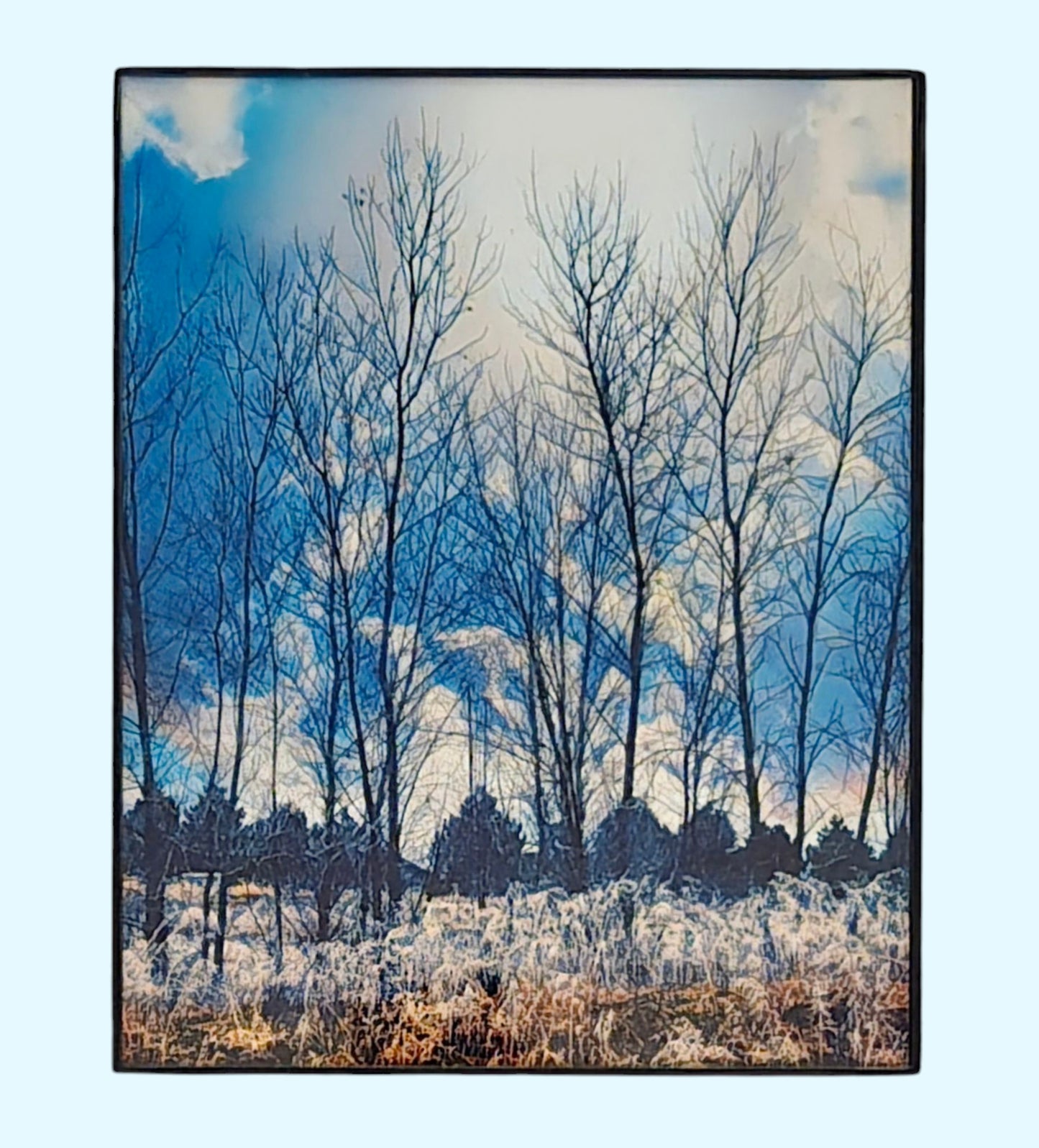 Winter Layers - Original Color 8 in.x10 in. (with frame)
