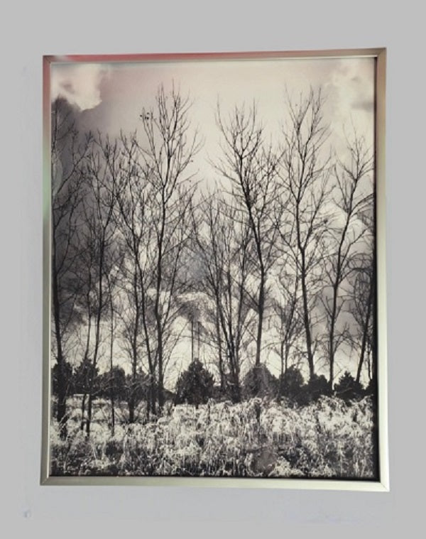 Winter Layers (b&w)  11.25 in.x14.25 in. (with frame)