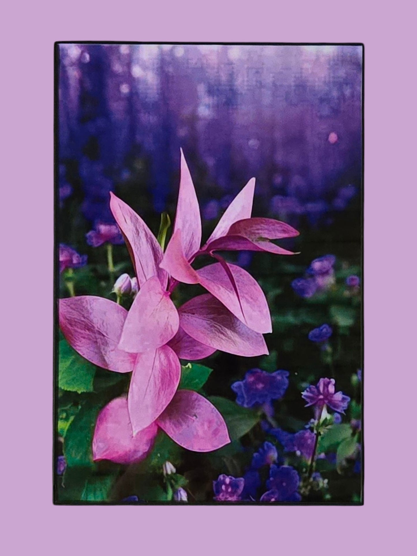 Pinurple Purink 8.25 in.x12.25 in. (with frame)