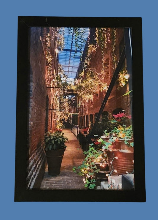 Lit Alley 9.5 in.x13.5 in. (with frame)