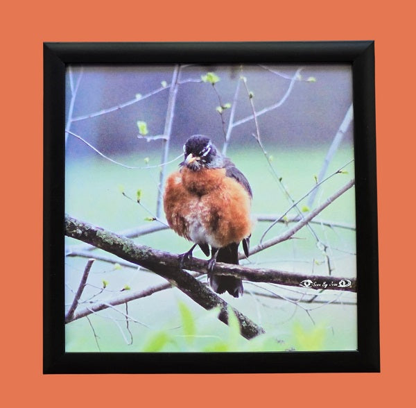 Miffed 9 in.x9 in. (with frame)