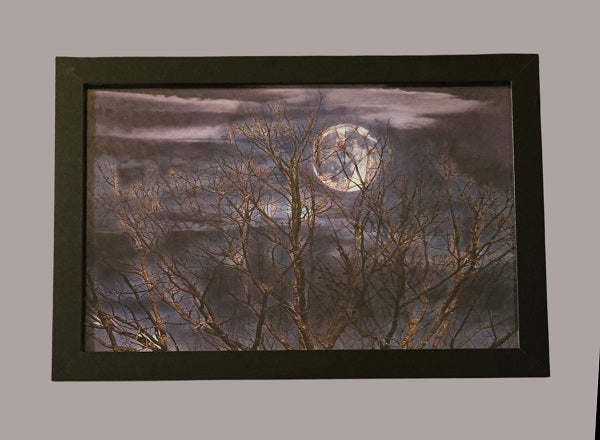 Moon on the Rise 11 in.x9 in. (with frame)