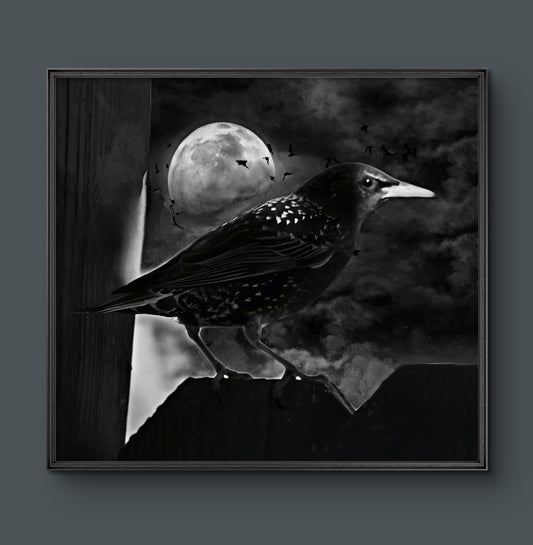 The Watch 12.25 in.x12.25 in. (with frame)