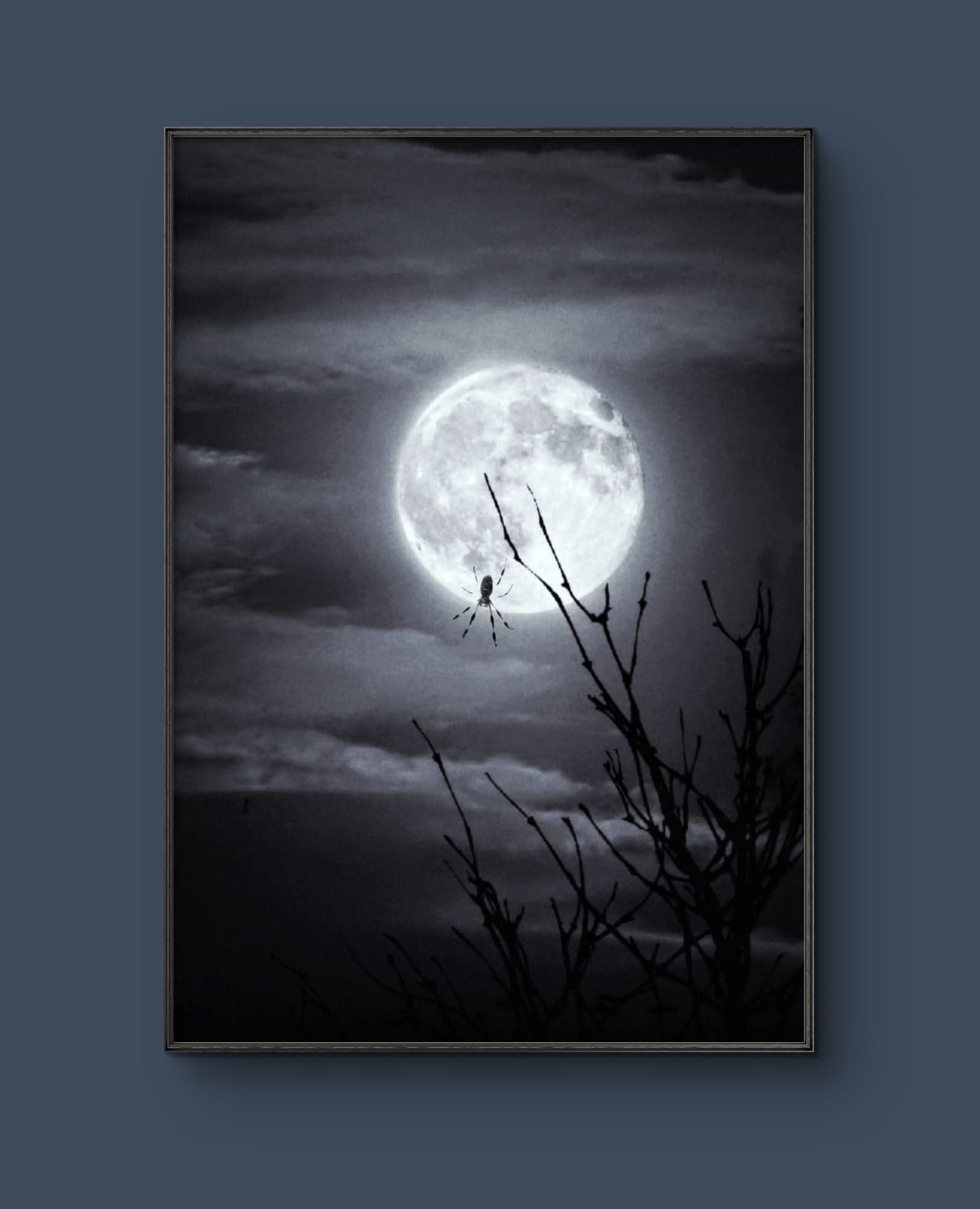 Moon Dangling 8 in.x10 in. (with frame)